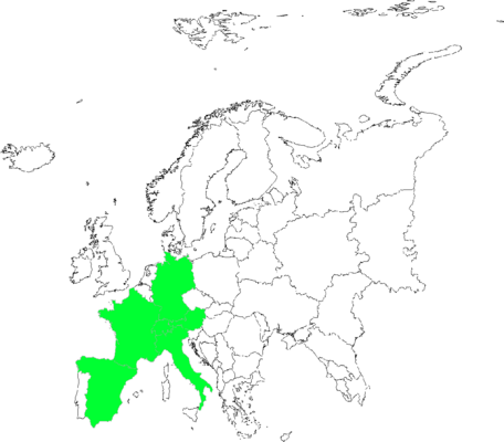 Agrostis schleicheri