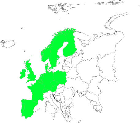 Taraxacum sect. Celtica