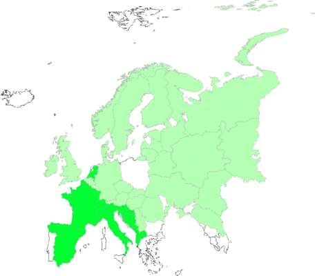 Erucastrum gallicum