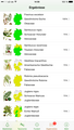 Die gefundenen Arten werden in einer übersichtlichen Liste angezeigt