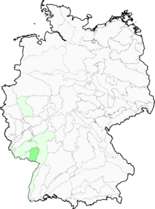 Festuca heteropachys