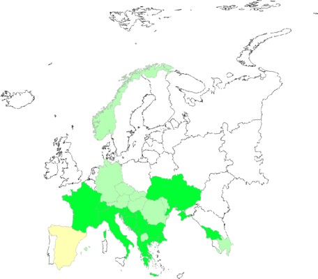 Ruta graveolens