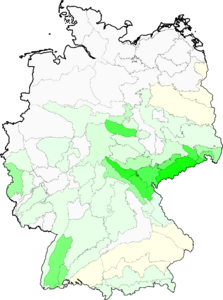 Meum athamanticum