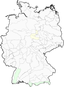 Schlagintweitia intybacea
