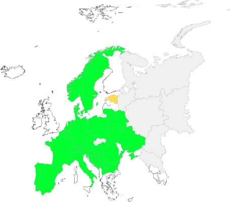 Arnica montana