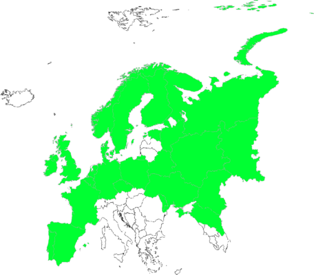 Taraxacum sect. Hamata