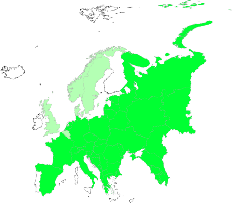 Securigera varia
