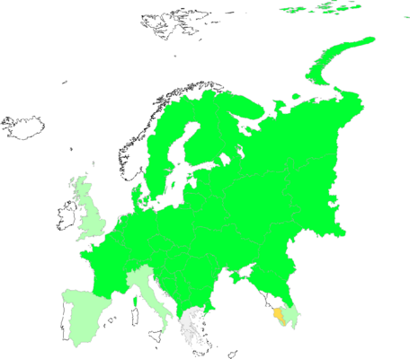 Ulmus laevis