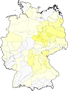 Secale cereale