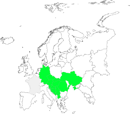 Seseli hippomarathrum