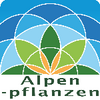 iFlora Alpenpflanzen