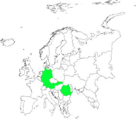 Asperula neilreichii