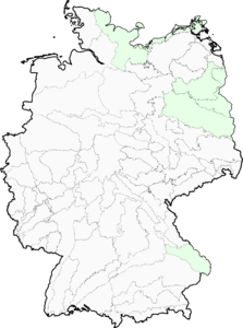 Botrychium multifidum