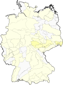 Coriandrum sativum