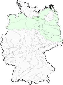 Thesium ebracteatum