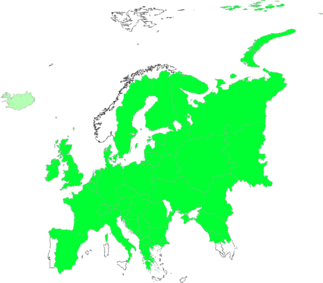 Aegopodium podagraria