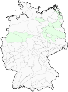 Botrychium simplex