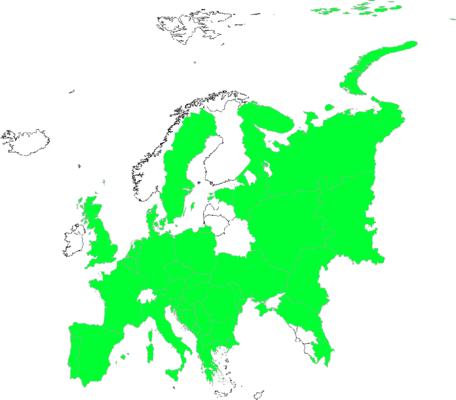 Bupleurum tenuissimum