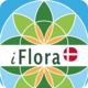 iFlora of Denmark