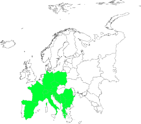 Cardamine resedifolia