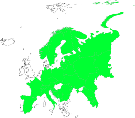 Trifolium spadiceum