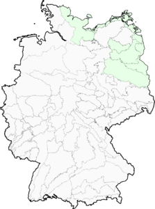 Taraxacum sect. Borea