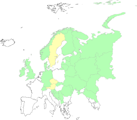 Rheum rhabarbarum