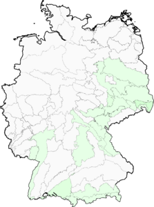 Bolboschoenus yagara