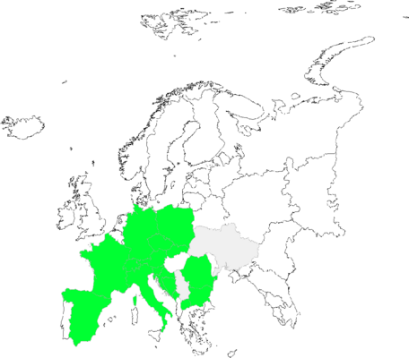 Taraxacum sect. Alpestria