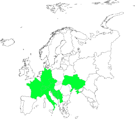 Rhinanthus glacialis