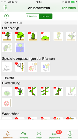Merkmale der ganzen Pflanze