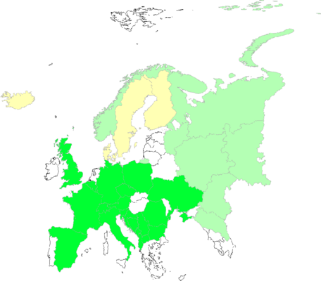 Meum athamanticum