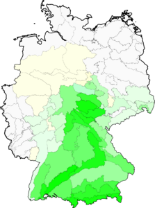 Carlina acaulis