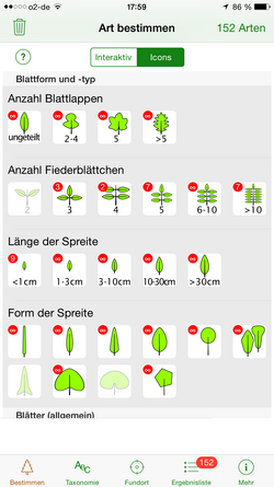 Blatt-Merkmale