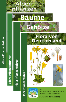 iFlora-Pflanzenführer bei Kindle