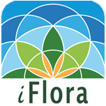 (c) I-flora.com